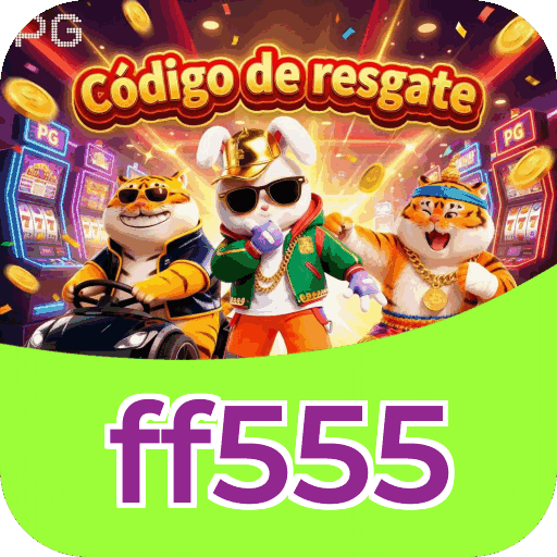 Interface ff555